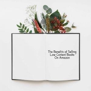 The Benefits of Selling Low Content Books