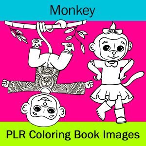 Monkey Coloring Book Images