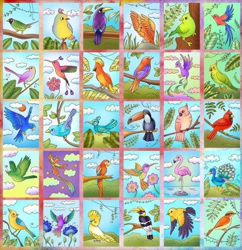 For the Birds Color Images - Color Me Positive PLR